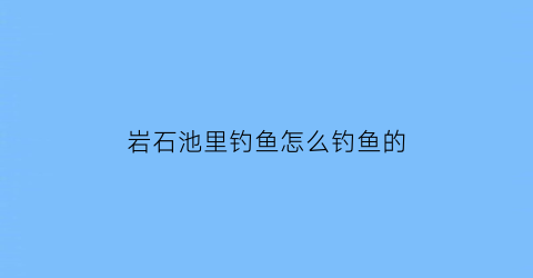 岩石池里钓鱼怎么钓鱼的