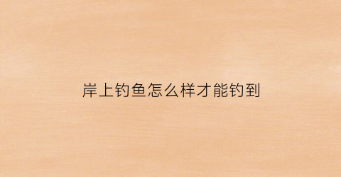 岸上钓鱼怎么样才能钓到(岸上钓鱼站着是什么意思)
