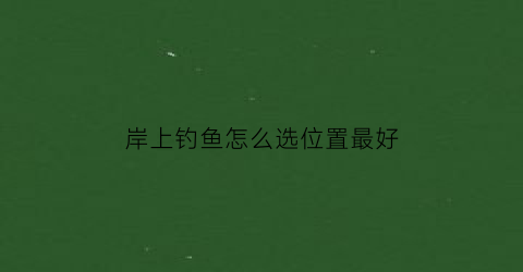 岸上钓鱼怎么选位置最好(岸边怎么钓鱼)