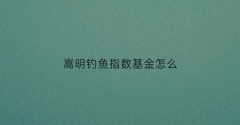 嵩明钓鱼指数基金怎么