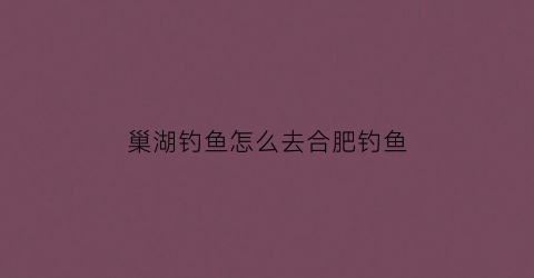 “巢湖钓鱼怎么去合肥钓鱼(巢湖野钓最好的地方)