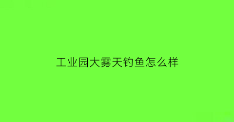 工业园大雾天钓鱼怎么样(工业园大雾天钓鱼怎么样啊)