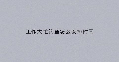 工作太忙钓鱼怎么安排时间(工作很忙怎么调节)