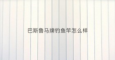 巴斯鲁马牌钓鱼竿怎么样(巴鲁斯罗马)