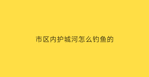 市区内护城河怎么钓鱼的