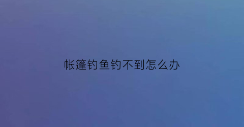 帐篷钓鱼钓不到怎么办