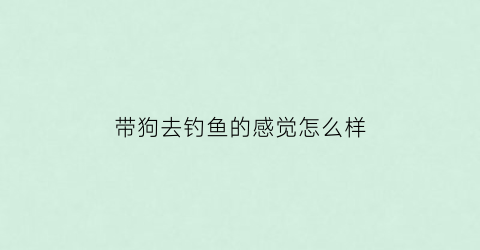 带狗去钓鱼的感觉怎么样(帮我找一下主人带只狗去河边钓鱼)