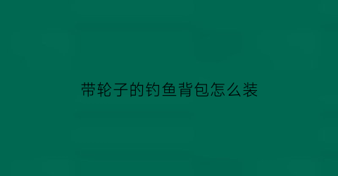 带轮子的钓鱼背包怎么装(带轮子的钓鱼背包怎么装视频)