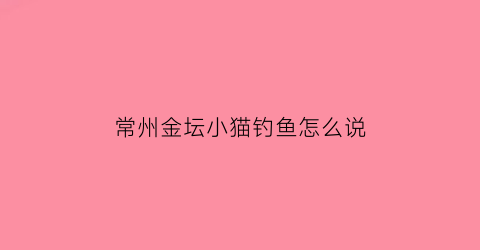 “常州金坛小猫钓鱼怎么说(小猫钓鱼是啥项目)