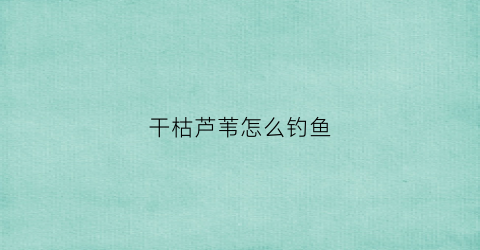干枯芦苇怎么钓鱼(干芦苇如何处理)