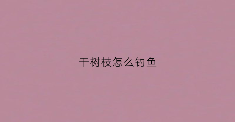 干树枝怎么钓鱼