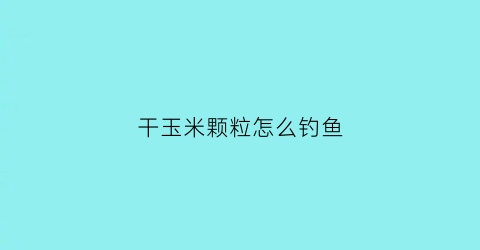 “干玉米颗粒怎么钓鱼(干玉米粒钓鱼生的好还是熟的好)