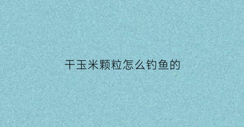 干玉米颗粒怎么钓鱼的(干玉米粒钓鱼生的好还是熟的好)