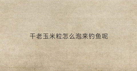 干老玉米粒怎么泡来钓鱼呢(干玉米怎么泡好钓鱼)