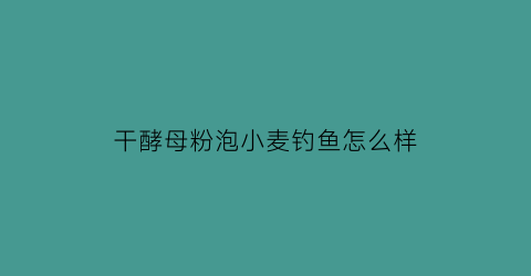 干酵母粉泡小麦钓鱼怎么样