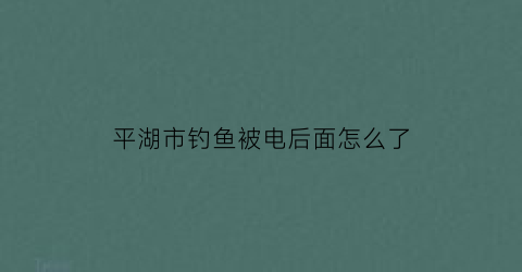 平湖市钓鱼被电后面怎么了(平湖钓鱼的男子被电死了没)