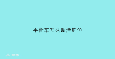 “平衡车怎么调漂钓鱼(平衡车怎么调节高度)