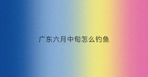 广东六月中旬怎么钓鱼