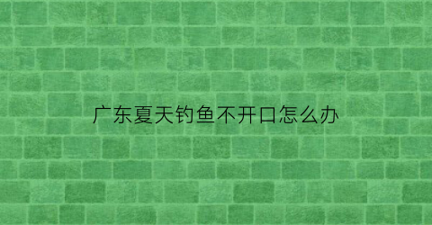 广东夏天钓鱼不开口怎么办(夏天野钓鱼不开口怎么办)
