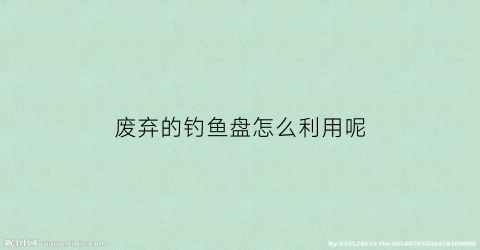 废弃的钓鱼盘怎么利用呢(钓鱼的盘子)