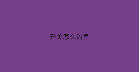 开关怎么钓鱼(开关怎么玩详细介绍)