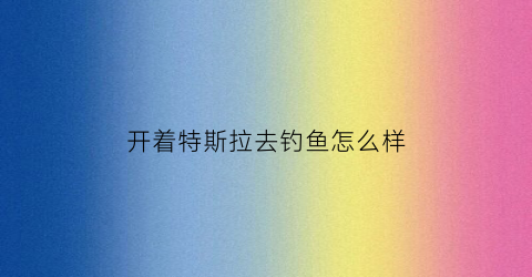 “开着特斯拉去钓鱼怎么样(特斯拉掉鱼塘)