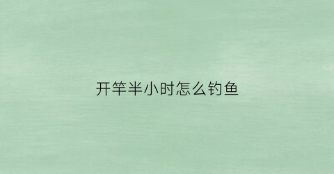 开竿半小时怎么钓鱼(钓鱼开杆)
