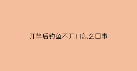 开竿后钓鱼不开口怎么回事