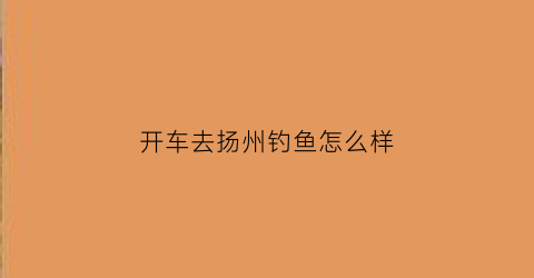 开车去扬州钓鱼怎么样