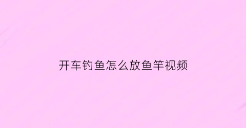 开车钓鱼怎么放鱼竿视频(开车钓鱼是什么意思)