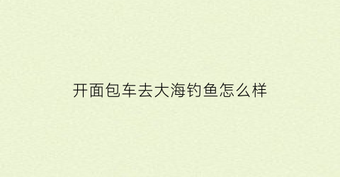 开面包车去大海钓鱼怎么样(面包车能走海底隧道吗)
