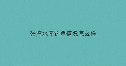 “张湾水库钓鱼情况怎么样(河南张湾水库项目)