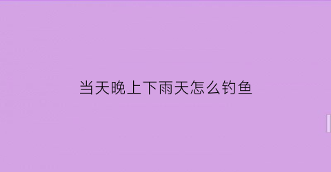 当天晚上下雨天怎么钓鱼(晚上下小雨第二天好钓鱼吗)