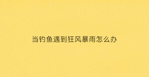 当钓鱼遇到狂风暴雨怎么办(钓鱼大风怎么办)
