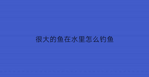 “很大的鱼在水里怎么钓鱼(水中大鱼)