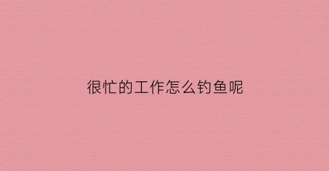 很忙的工作怎么钓鱼呢(工作太忙没时间钓鱼)