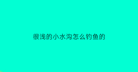 很浅的小水沟怎么钓鱼的(野钓小水沟)
