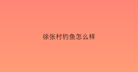 “徐张村钓鱼怎么样(徐庄村概况)