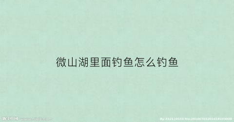 “微山湖里面钓鱼怎么钓鱼(微山湖哪里可以钓鱼我怎么找不到地方呢)