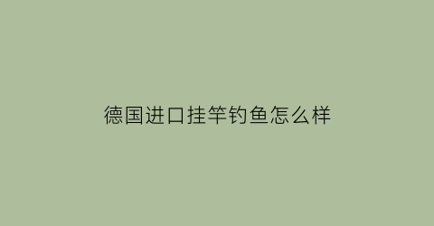 德国进口挂竿钓鱼怎么样(德国钓鱼竿有哪些品牌)