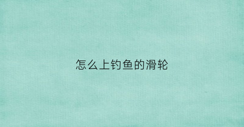 怎么上钓鱼的滑轮(钓鱼滑轮怎么缠线视频)