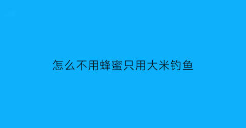 “怎么不用蜂蜜只用大米钓鱼(蜂蜜可以用来钓鱼吗)