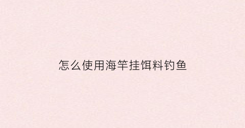 “怎么使用海竿挂饵料钓鱼(海竿怎么挂诱饵)