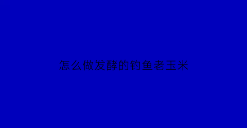 怎么做发酵的钓鱼老玉米(老玉米发酵钓鲤鱼)