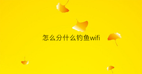 怎么分什么钓鱼wifi