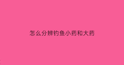 怎么分辨钓鱼小药和大药(钓鱼小药勾兑方法)