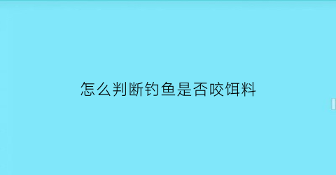 怎么判断钓鱼是否咬饵料