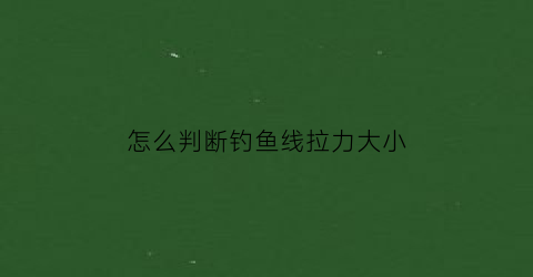 “怎么判断钓鱼线拉力大小(怎么测试鱼线拉力)