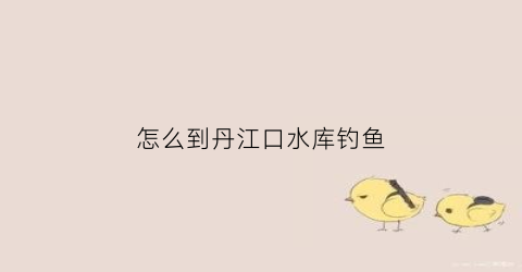 怎么到丹江口水库钓鱼(去丹江口水库旅游路线)