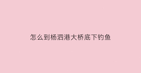 “怎么到杨泗港大桥底下钓鱼(杨泗港大桥怎么步行上去)